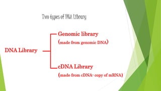Two types of DNA Library
Genomic library
(made from genomic DNA)
DNA Library
cDNA Library
(made from cDNA- copy of mRNA)
 