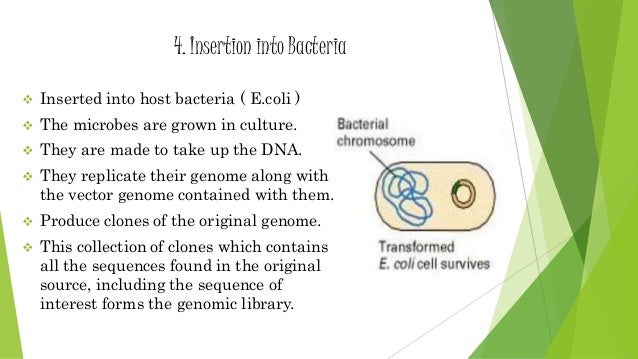 Genomic library slideshare