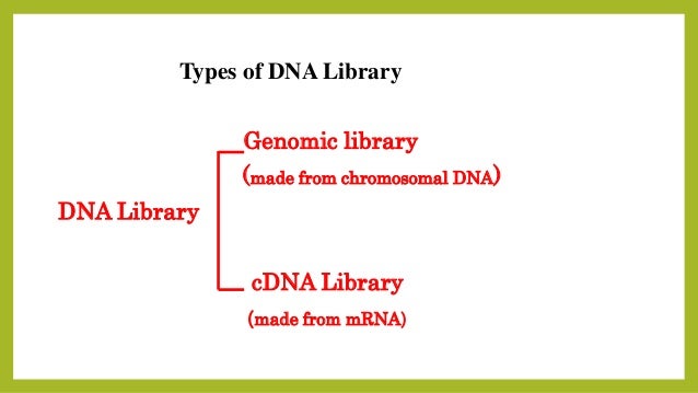 genomic library genomic library
