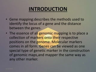 INTRODUCTION
• Gene mapping:describes the methods used to
identify the locus of a gene and the distance
between the genes.
• The essence of all genomic mapping is to place a
collection of markers onto their respective
positions on the genome. Molecular markers
comes in all form. Genes can be viewed as one
special type of genetic marker in the construction
of genomic maps,and mapper the same way as
any other marker.
5/10/2020
 