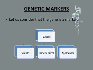 GENETIC MARKERS
• Let us consider that the gene is a marker.
Genes
visible biochemical Molecular
5/10/2020
 