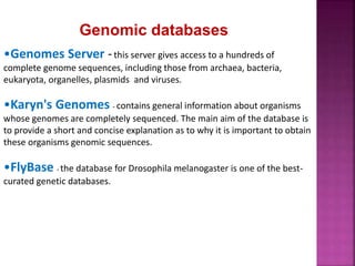 What Is Fly Base Genome Database Notes.pdf Genomic mapping by kk sahu | PPTX