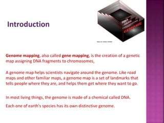 Genomic mapping by kk sahu | PPTX