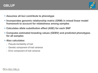 GBLUP
 Assumes all loci contribute to phenotype
 Incorporates genomic relationship matrix (GRM) in mixed linear model
framework to account for relatedness among samples
 Calculates allele substitution effect (ASE) for each SNP
 Computes estimated breeding values (GEBV) and predicted phenotypes
for all samples
 Also calculates:
- Pseudo-heritability of trait
- Genetic component of trait variance
- Error component of trait variance
 