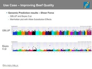 Use Case – Improving Beef Quality
 Genomic Prediction results – Shear Force
- GBLUP and Bayes C-pi
- Manhattan plot with Allele Substitution Effects
GBLUP
Bayes
C-pi
 