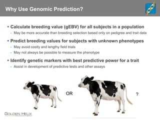 Why Use Genomic Prediction?
 Calculate breeding value (gEBV) for all subjects in a population
- May be more accurate than breeding selection based only on pedigree and trait data
 Predict breeding values for subjects with unknown phenotypes
- May avoid costly and lengthy field trials
- May not always be possible to measure the phenotype
 Identify genetic markers with best predictive power for a trait
- Assist in development of predictive tests and other assays
OR ?
 