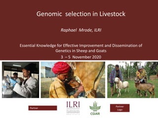 Partner Logo
Partner
Logo
Genomic selection in Livestock
Raphael Mrode, ILRI
Essential Knowledge for Effective Improvement and Dissemination of
Genetics in Sheep and Goats
3 – 5 November 2020
Addis Ababa , Ethiopia
 