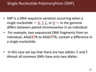 Genomic  selection in Livestock