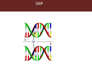 Genomic  selection in Livestock