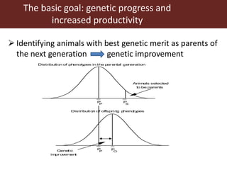Genomic  selection in Livestock