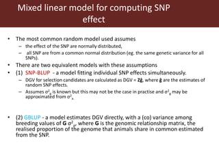 Genomic  selection in Livestock