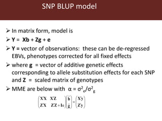 Genomic  selection in Livestock