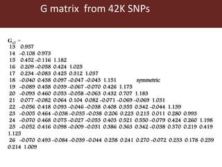 Genomic  selection in Livestock