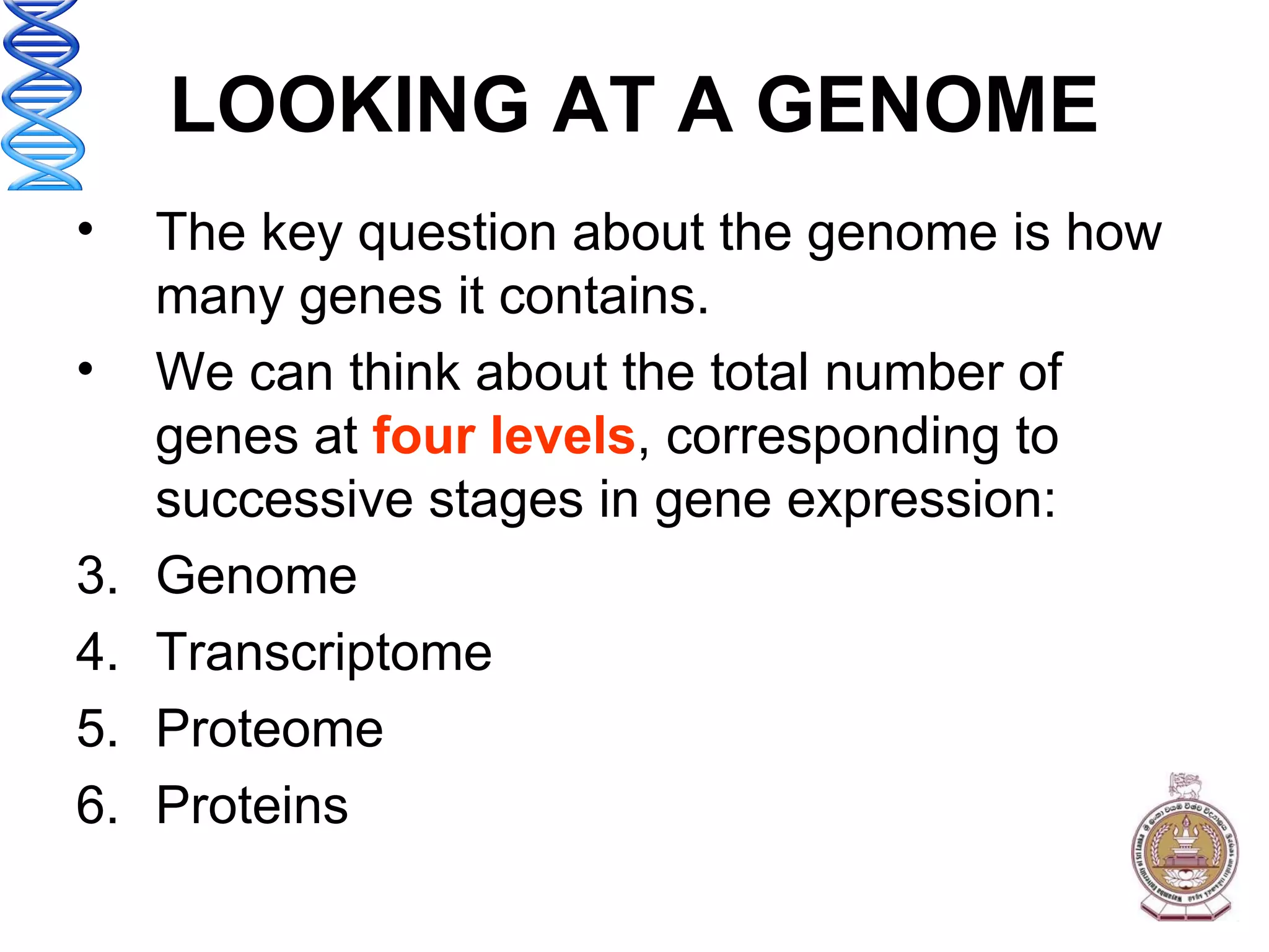 LOOKING AT A GENOME The key question about the genome is how many genes it contains. We can think about the total number of genes at  four levels , corresponding to successive stages in gene expression: Genome Transcriptome Proteome Proteins 