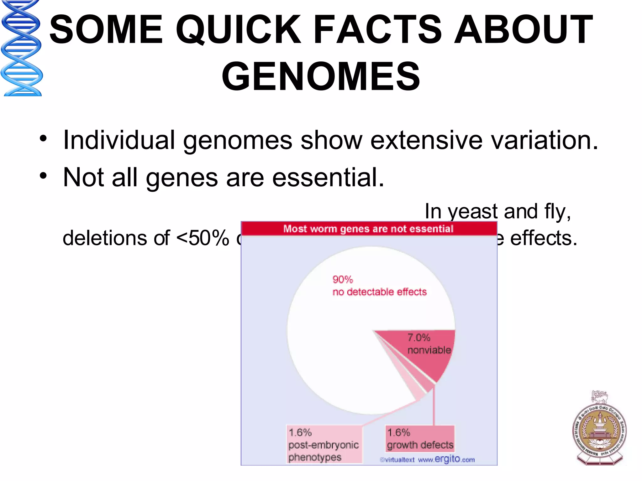 SOME QUICK FACTS ABOUT GENOMES Individual genomes show extensive variation. Not all genes are essential.  In yeast and fly, deletions of <50% of the genes have detectable effects. 