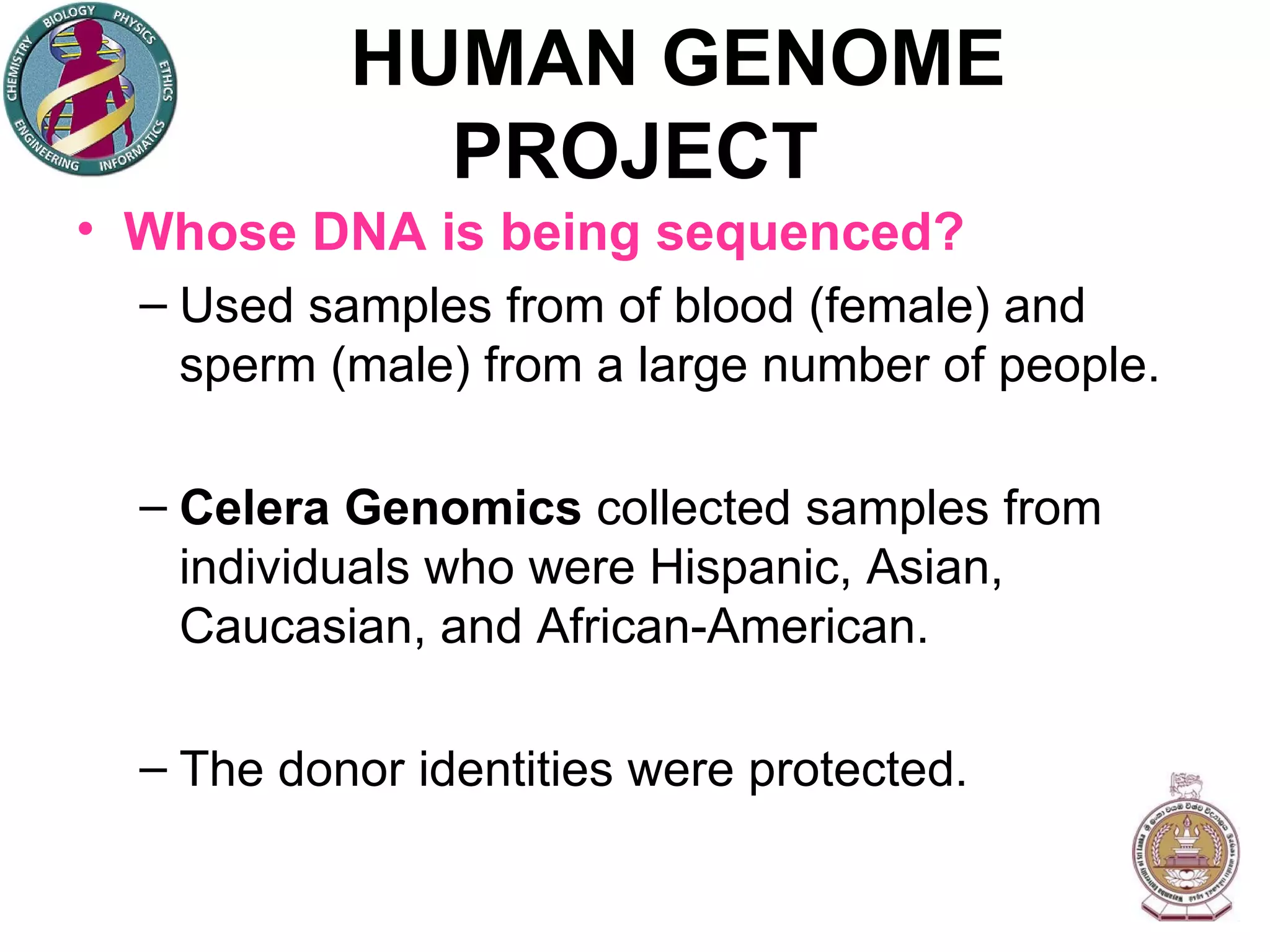 HUMAN GENOME PROJECT Whose DNA is being sequenced? Used samples from of blood (female) and sperm (male) from a large number of people. Celera Genomics  collected samples from individuals who were Hispanic, Asian, Caucasian, and African-American. The donor identities were protected. 