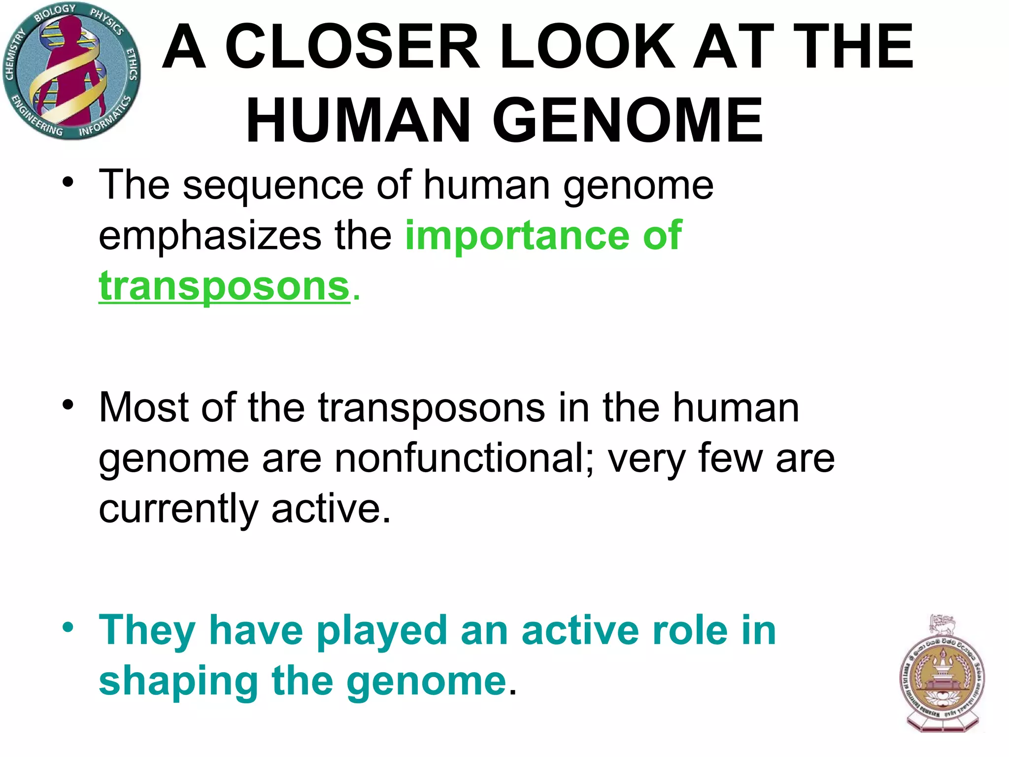 A CLOSER LOOK AT THE HUMAN GENOME The sequence of human genome emphasizes the  importance of  transposons . Most of the transposons in the human genome are nonfunctional; very few are currently active. They have played an active role in shaping the genome . 