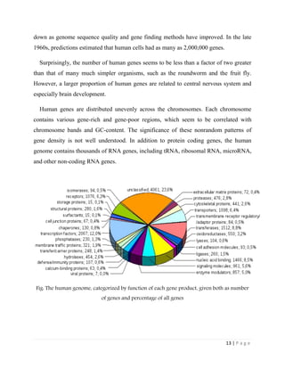 13 | P a g e
down as genome sequence quality and gene finding methods have improved. In the late
1960s, predictions estimated that human cells had as many as 2,000,000 genes.
Surprisingly, the number of human genes seems to be less than a factor of two greater
than that of many much simpler organisms, such as the roundworm and the fruit fly.
However, a larger proportion of human genes are related to central nervous system and
especially brain development.
Human genes are distributed unevenly across the chromosomes. Each chromosome
contains various gene-rich and gene-poor regions, which seem to be correlated with
chromosome bands and GC-content. The significance of these nonrandom patterns of
gene density is not well understood. In addition to protein coding genes, the human
genome contains thousands of RNA genes, including tRNA, ribosomal RNA, microRNA,
and other non-coding RNA genes.
Fig: The human genome, categorized by function of each gene product, given both as number
of genes and percentage of all genes
 