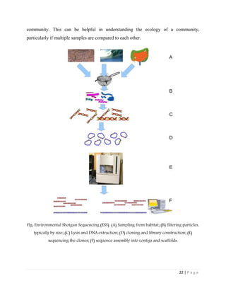 22 | P a g e
community. This can be helpful in understanding the ecology of a community,
particularly if multiple samples are compared to each other.
Fig: Environmental Shotgun Sequencing (ESS). (A) Sampling from habitat; (B) filtering particles,
typically by size; (C) Lysis and DNA extraction; (D) cloning and library construction; (E)
sequencing the clones; (F) sequence assembly into contigs and scaffolds.
 