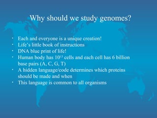 Why should we study genomes?
• Each and everyone is a unique creation!
• Life’s little book of instructions
• DNA blue print of life!
• Human body has 1013
cells and each cell has 6 billion
base pairs (A, C, G, T)
• A hidden language/code determines which proteins
should be made and when
• This language is common to all organisms
 