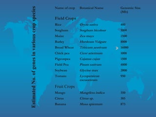 Name of crop Botanical Name Genomic Size
(Mb)
Field Crops
Rice Oryza sativa 400
Sorghum Sorghum bicolour 1000
Maize Zea mays 2500
Barley Hordeum Vulgare 8000
Bread Wheat Triticum aestivum 16000
Chick pea Cicer arietinum 1000
Pigeonpea Cajanus cajan 1500
Field Pea Pisum sativum 4800
Soybean Glycine max 2000
Tomato Lycopersicon
escueentum
950
Fruit Crops
Mango Mangifera indica 350
Citrus Citrus sp. 385
Banana Musa spientum 873
 