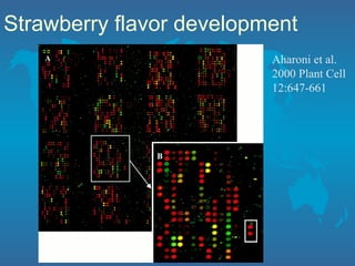Strawberry flavor development
Aharoni et al.
2000 Plant Cell
12:647-661
 