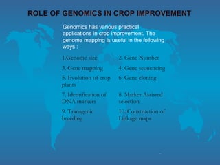 ..
ROLE OF GENOMICS IN CROP IMPROVEMENT
Genomics has various practical
applications in crop improvement. The
genome mapping is useful in the following
ways :
1.Genome size 2. Gene Number
3. Gene mapping 4. Gene sequencing
5. Evolution of crop
plants
6. Gene cloning
7. Identification of
DNA markers
8. Marker Assisted
selection
9. Transgenic
breeding
10. Construction of
Linkage maps
 