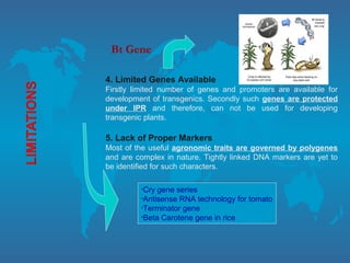 4. Limited Genes Available
Firstly limited number of genes and promoters are available for
development of transgenics. Secondly such genes are protected
under IPR and therefore, can not be used for developing
transgenic plants.
5. Lack of Proper Markers
Most of the useful agronomic traits are governed by polygenes
and are complex in nature. Tightly linked DNA markers are yet to
be identified for such characters.
Bt Gene
•Cry gene series
•Antisense RNA technology for tomato
•Terminator gene
•Beta Carotene gene in rice
•Cry gene series
•Antisense RNA technology for tomato
•Terminator gene
•Beta Carotene gene in rice
 