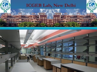 ICGEB Lab, New Delhi
 