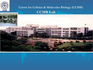 Centre for Cellular & Molecular Biology (CCMB)
 