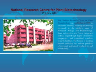 National Research Centre for Plant Biotechnology
IARI New Delhi
The National Research Centre on Plant
Biotechnology was established in 1985 to
undertake research, teaching and training
personnel in the modern areas of
Molecular Biology and Biotechnology.
Since its inception, the Centre has grown
and has acquired high degree of scientific
competence and established excellent
research facilities. The Centre is working
towards achieving the national priorities
of increased agricultural productivity and
sustainability
 