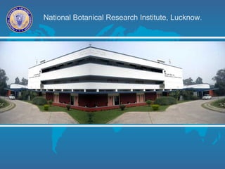 National Botanical Research Institute, Lucknow.
 
