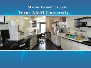 Marine Genomics Lab
 