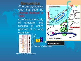 •The term genomics
was first used by
Thomas Roderick in
1986.
•It refers to the study
of structure and
function of entire
genome of a living
organism.
Genomics
Structure of Chromosome
Function of all the genes
Genomics
 