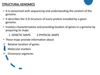 STRUCTURAL GENOMICS
• It is concerned with sequencing and understanding the content of the
genome.
• It describes the 3-D structure of every protein encoded by a given
genome.
• Involves characterization and providing location of genes in a genome by
preparing its maps
1. GENETIC MAPS 2.PHYSICAL MAPS
• These maps provide information about
 Relative location of genes
 Molecular markers
 Chromone segments
 
