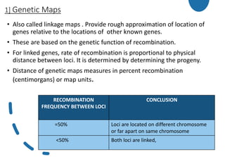 1] Genetic Maps
• Also called linkage maps . Provide rough approximation of location of
genes relative to the locations of other known genes.
• These are based on the genetic function of recombination.
• For linked genes, rate of recombination is proportional to physical
distance between loci. It is determined by determining the progeny.
• Distance of genetic maps measures in percent recombination
(centimorgans) or map units.
RECOMBINATION
FREQUENCY BETWEEN LOCI
CONCLUSION
=50% Loci are located on different chromosome
or far apart on same chromosome
<50% Both loci are linked,
 