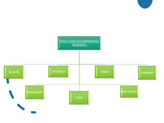 TOOLS USED IN COMPARATIVE
GENOMICS
BLASTN
MEGABLAST
MUMmer
VISTA
WABA
PaternHunter
PipMaker
 
