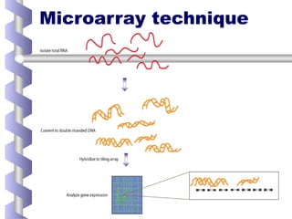 genomics, types, applications and importance | PPTX