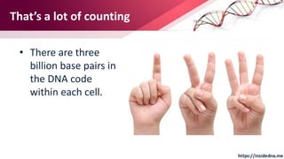 That’s a lot of counting
• There are three
billion base pairs in
the DNA code
within each cell.
 