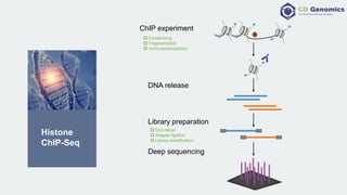 Genomics epigenetic modifications & epigenomic technologies | PPTX