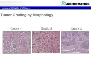 Before molecular profiling …

 