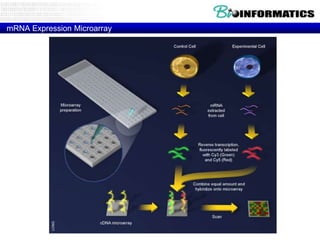 mRNA Expression Microarray

 