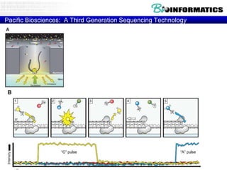 Pacific Biosciences: A Third Generation Sequencing Technology

Eid et al 2008

 