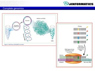 Complete genomics

 