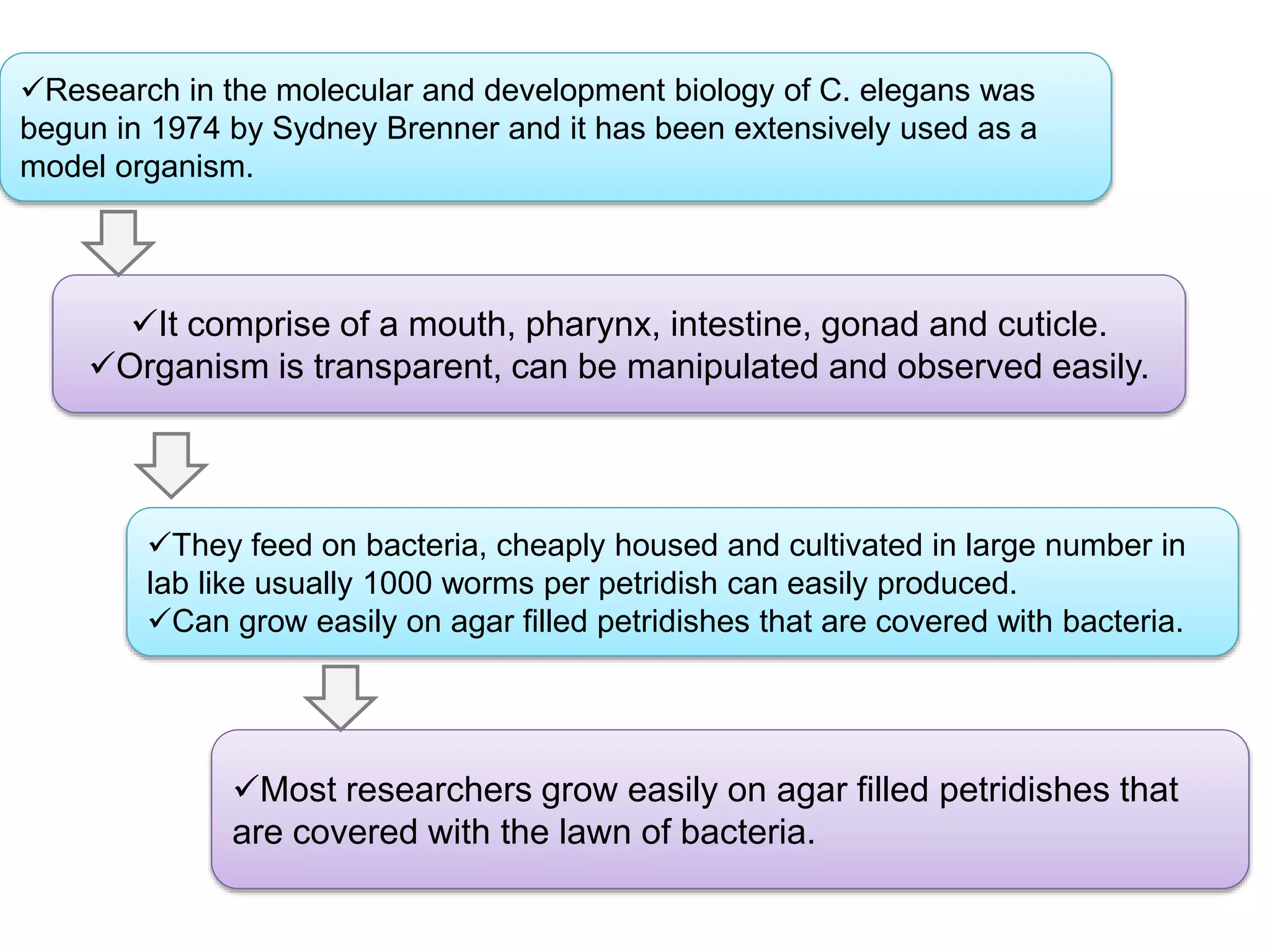 Genomics C elegan genome and model organism | PPTX