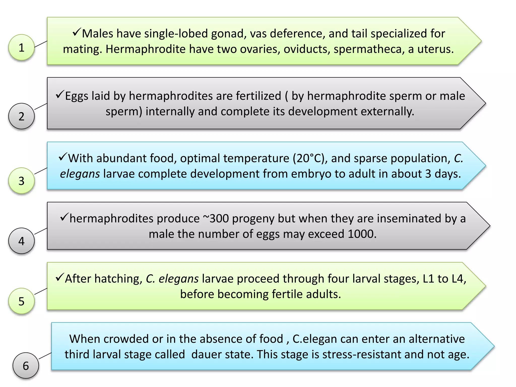 Genomics C elegan genome and model organism | PPTX