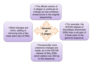 Genomics C elegan genome and model organism | PPTX