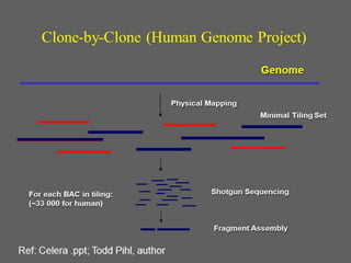 Genomics C elegan genome and model organism | PPTX