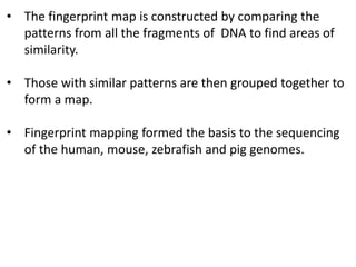 • The fingerprint map is constructed by comparing the
patterns from all the fragments of DNA to find areas of
similarity.
• Those with similar patterns are then grouped together to
form a map.
• Fingerprint mapping formed the basis to the sequencing
of the human, mouse, zebrafish and pig genomes.
 
