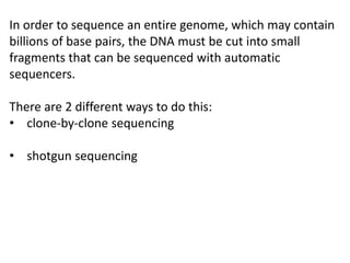 In order to sequence an entire genome, which may contain
billions of base pairs, the DNA must be cut into small
fragments that can be sequenced with automatic
sequencers.
There are 2 different ways to do this:
• clone-by-clone sequencing
• shotgun sequencing
 